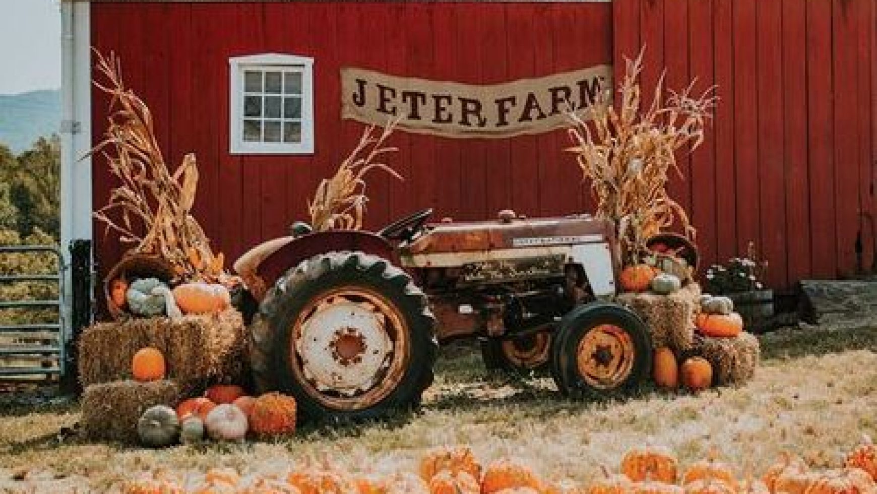 Fall Pumpkin Patch Party – Saturday, October 10th