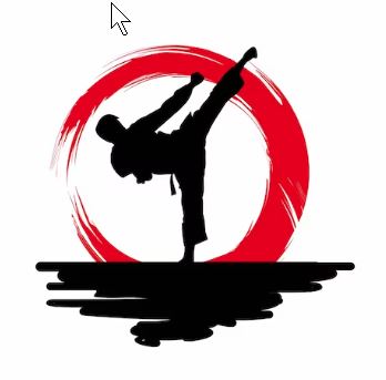 DSAR Introductory Karate Class